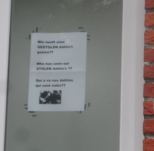 Steenakker - Nieuw Gent